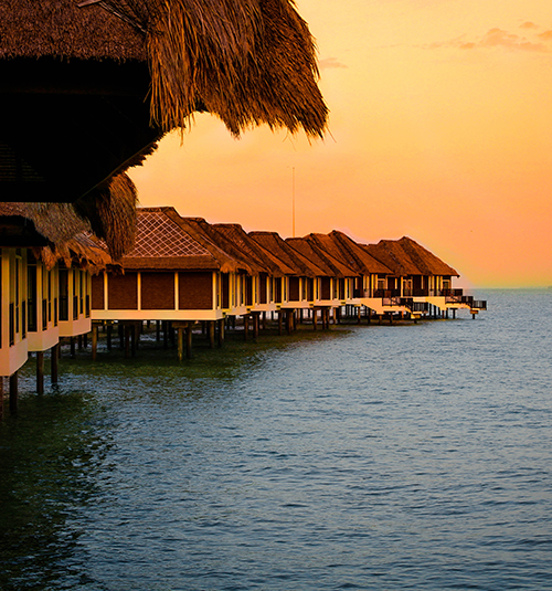 Restaurants & Bars